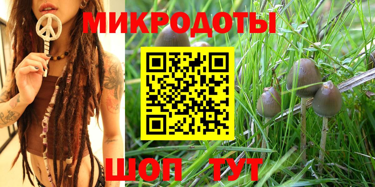 Псилоцибиновые грибы MAGIC MUSHROOMS  Вход с VPN  Магнитогорск  Псилоцибиновые грибы мицелий 