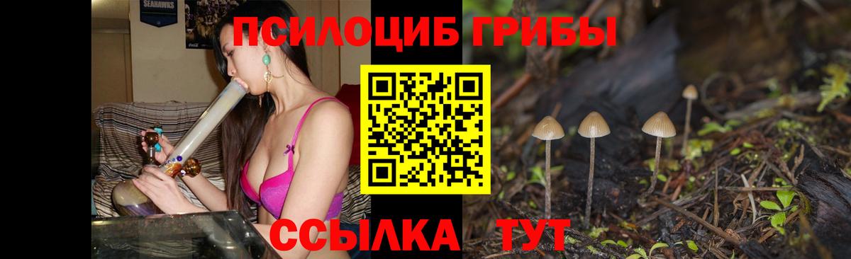 Галлюциногенные грибы Cubensis Магнитогорск